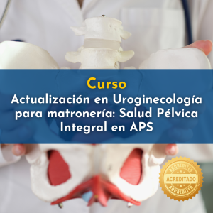 Curso Actualización en Uroginecología para Matronería: Salud Pélvica Integral en APS